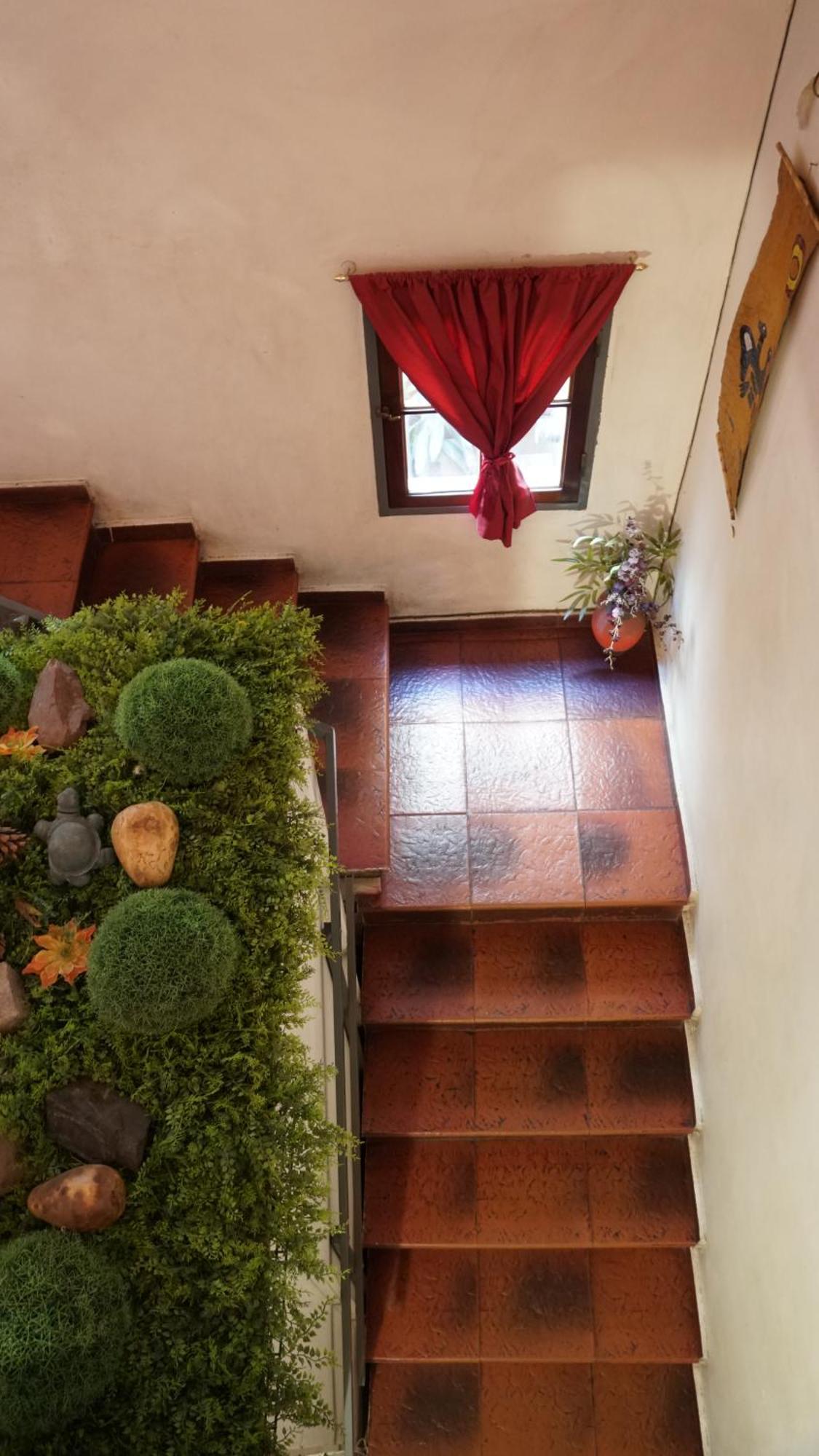 Hostel & Spa Mediterranea Cordoba Dış mekan fotoğraf